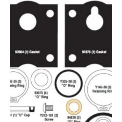 KIT DE VALVULA DE AIRE (B637434)