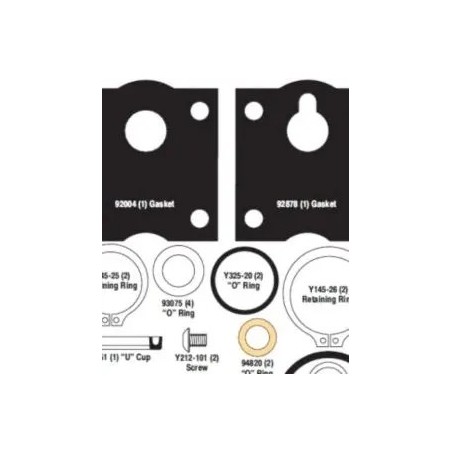 KIT DE VALVULA DE AIRE (B637434)