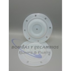 DIAFRAGMA (B93111) PTFE