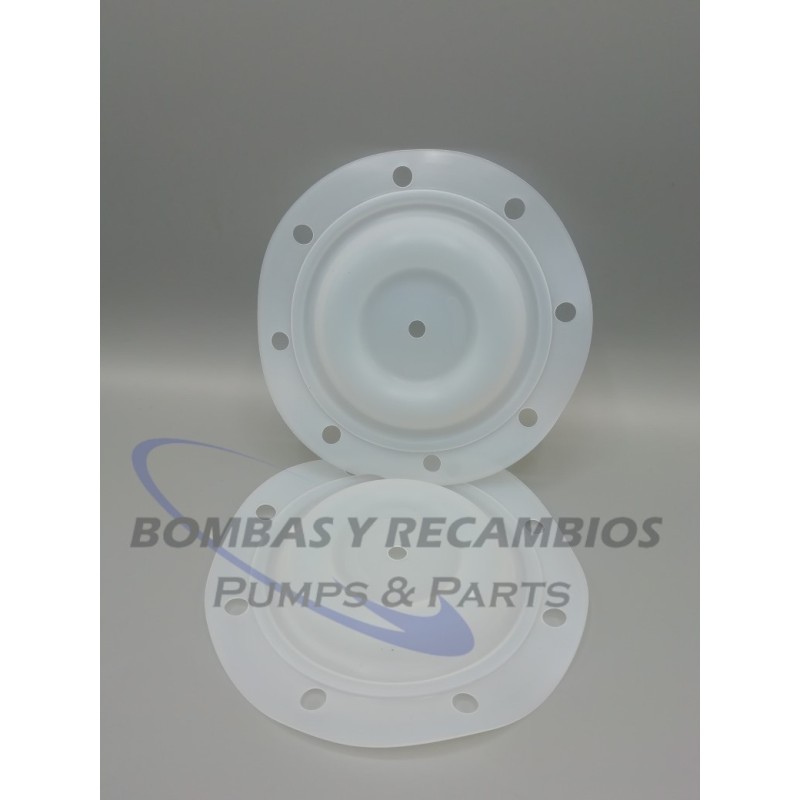 DIAFRAGMA (B93111) PTFE