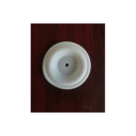 DIAFRAGMA (B93898) PTFE
