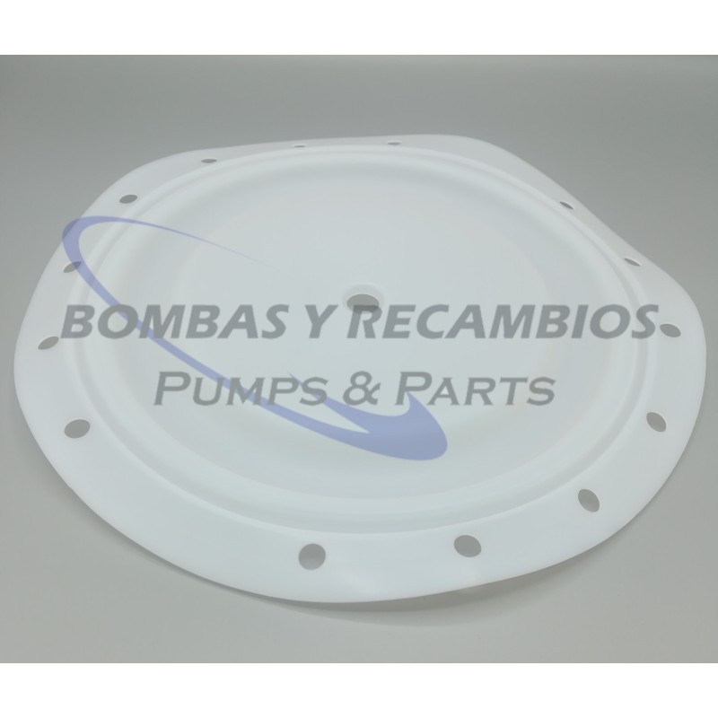 DIAFRAGMA (B95930) PTFE