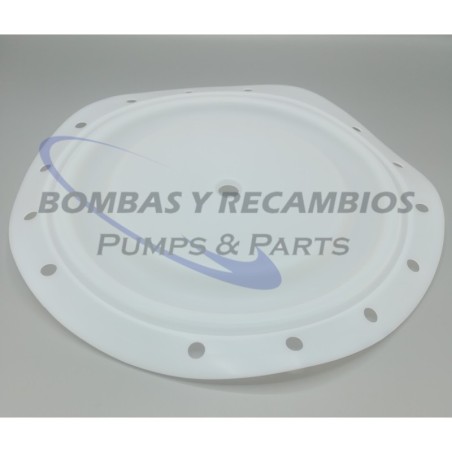 DIAFRAGMA (B95930) PTFE