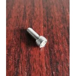 SOCKET HEAD BOLT (B95991) SST