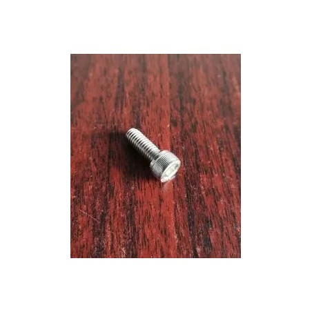 SOCKET HEAD BOLT (B95991) SST