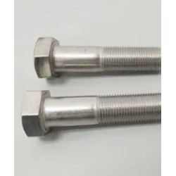 HEX HEAD BOLT (BY5-111-T) SST