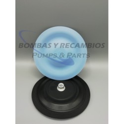 DIAFRAGMA (B02-1164) PTFE