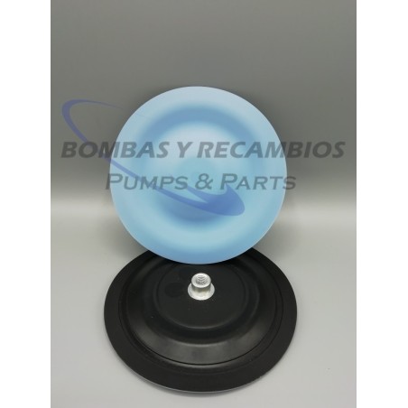 DIAFRAGMA (B02-1164) PTFE