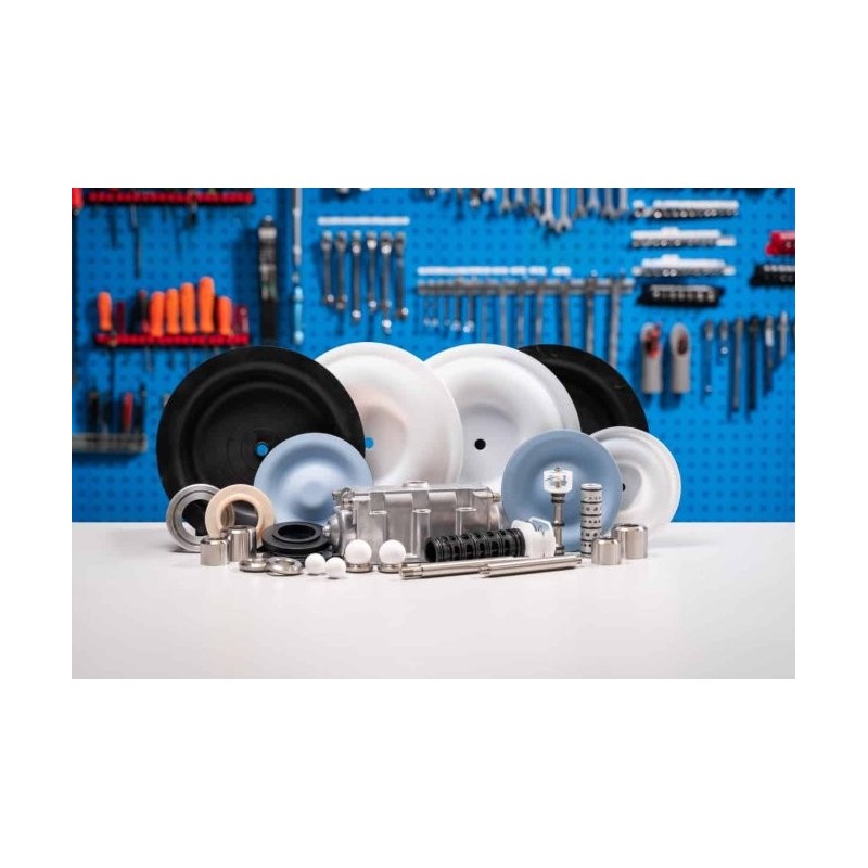 KIT DE REPARACION (BK25V-AN)